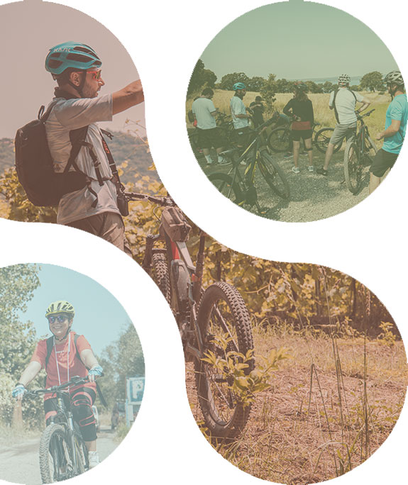 Bike farm